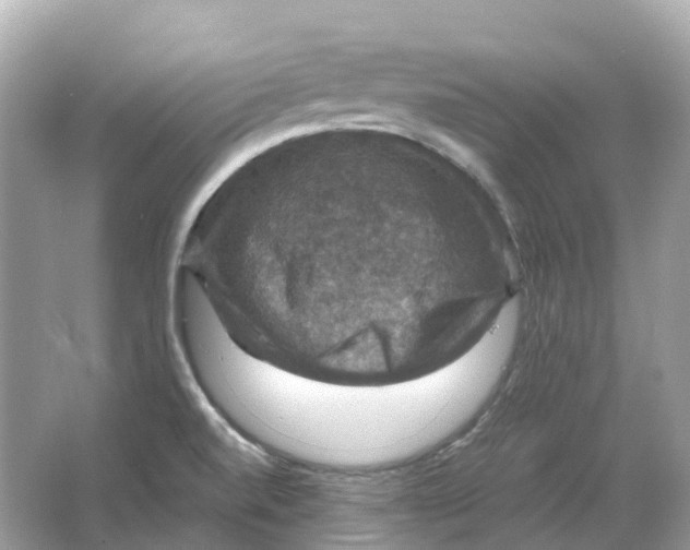 X0000066011520200603242044