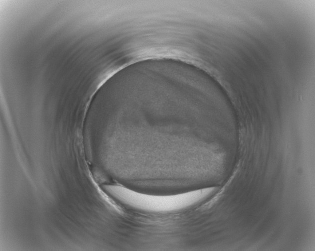 X0000066011521200603242044