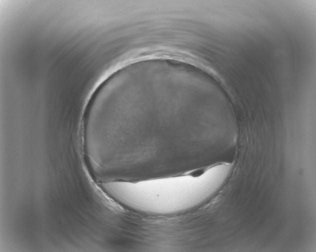 X0000066011522200603242044