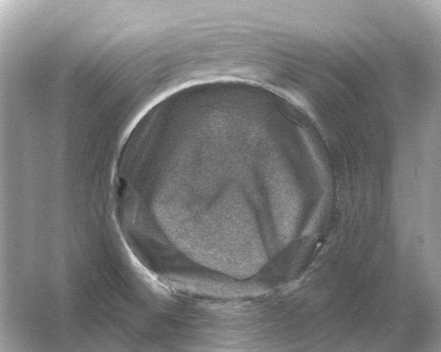 X0000066011524200603242044