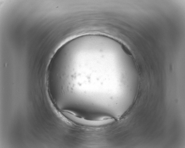 X0000066011526200603242044