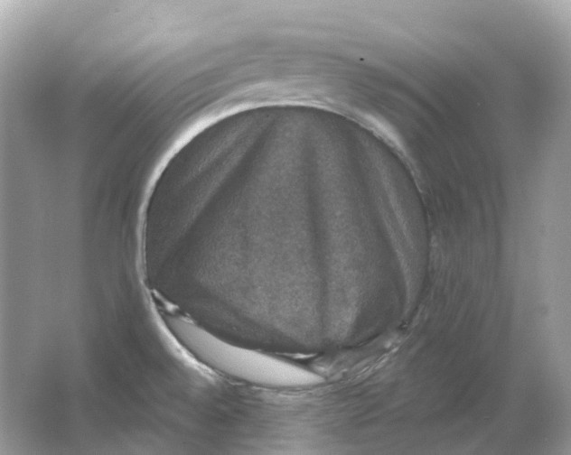 X0000066011528200603242044