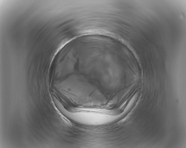 X0000066011529200603242044