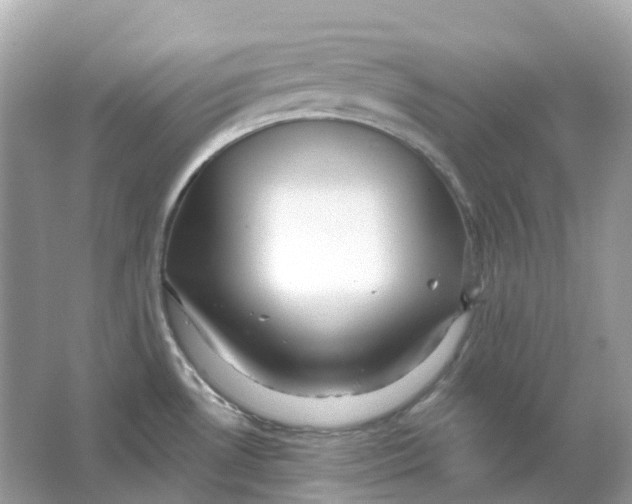 X0000066011530200603242044