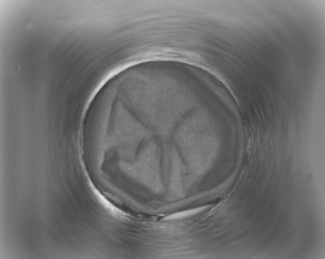 X0000066011531200603242044