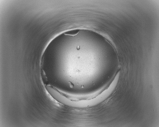 X0000066011532200603242044