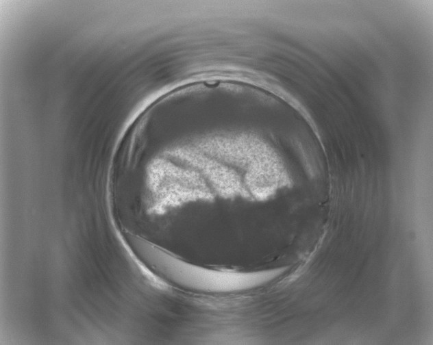 X0000066011533200603242044