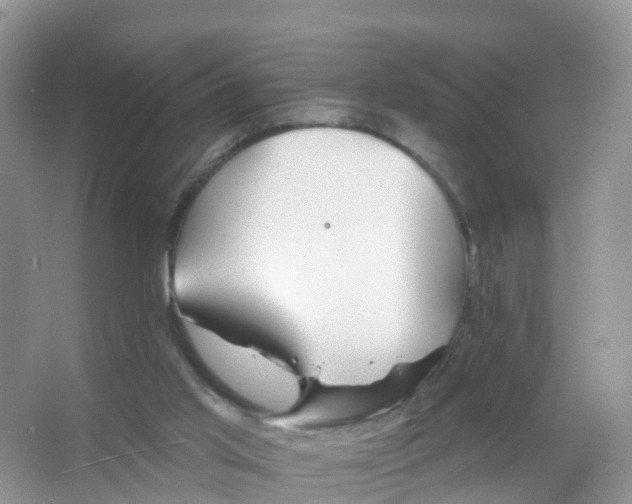 X0000066010013200603312035