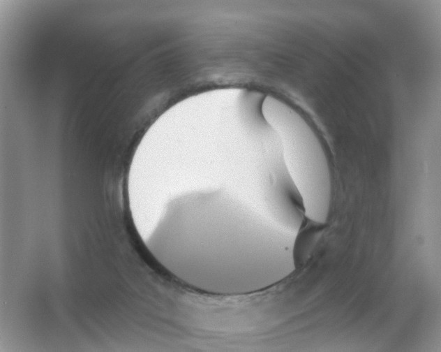 X0000066010019200603312035