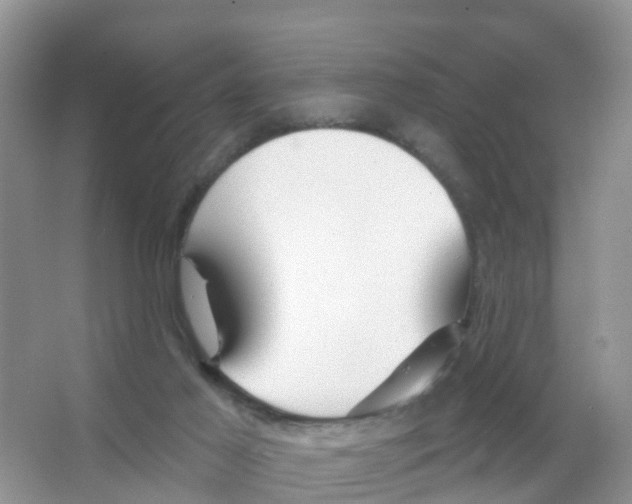 X0000066010021200603312035