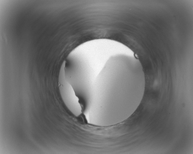 X0000066010035200603312034