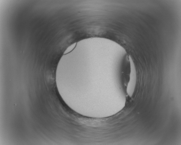 X0000066010040200603312034