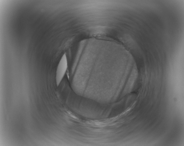 X0000066010041200603312034