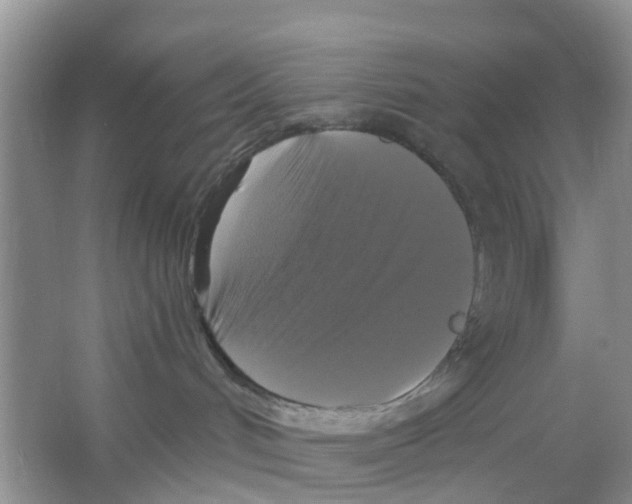 X0000066010048200603312034