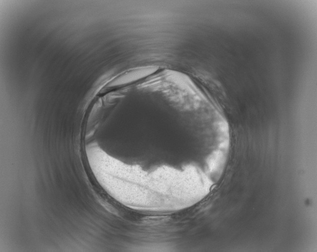 X0000066010051200603312033
