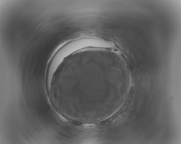X0000066010052200603312033