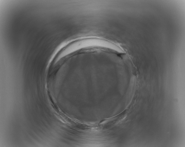 X0000066010056200603312033