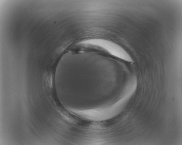 X0000066010076200603312034