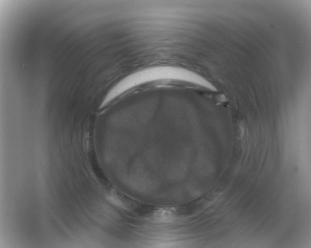 X0000066010080200603312034