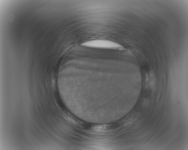 X0000066010084200603312034