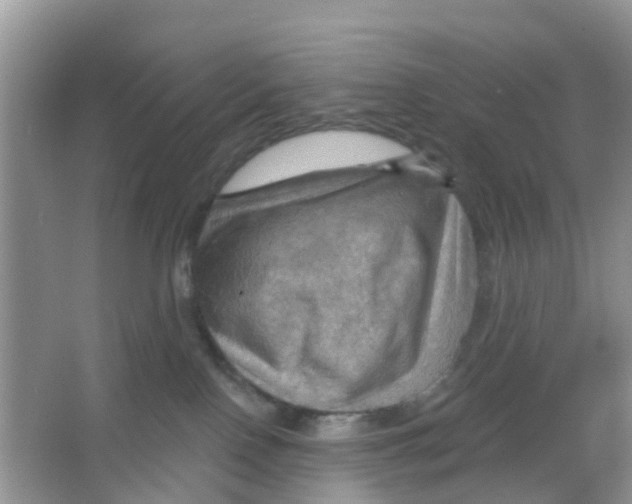 X0000066010090200603312034