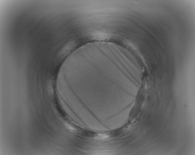 X0000066010114200603312033