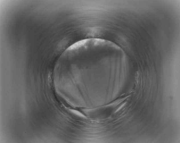 X0000066010127200603312033