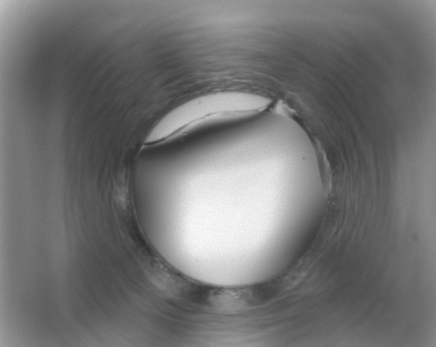 X0000066010129200603312033