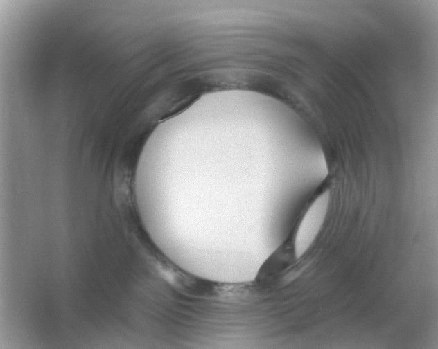 X0000066010141200603312033