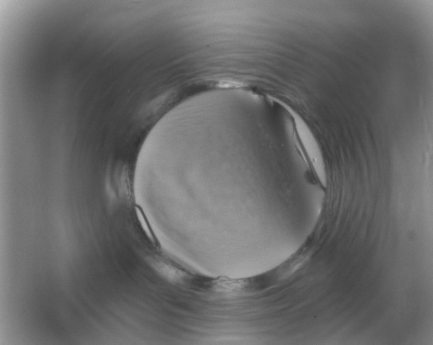 X0000066010143200603312033