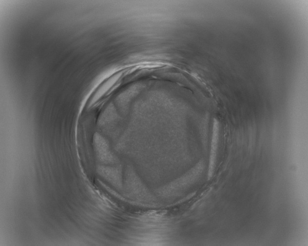 X0000066010148200603312032
