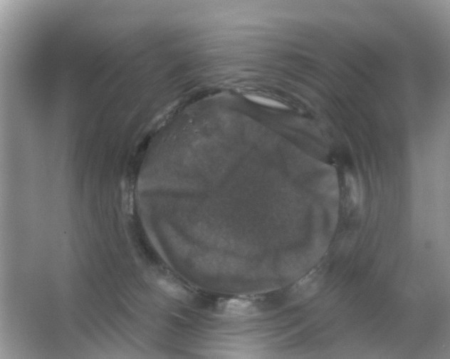 X0000066010180200603312032