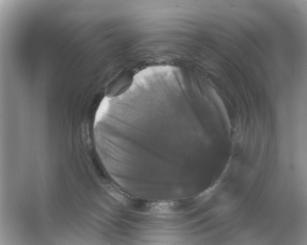 X0000066010182200603312032