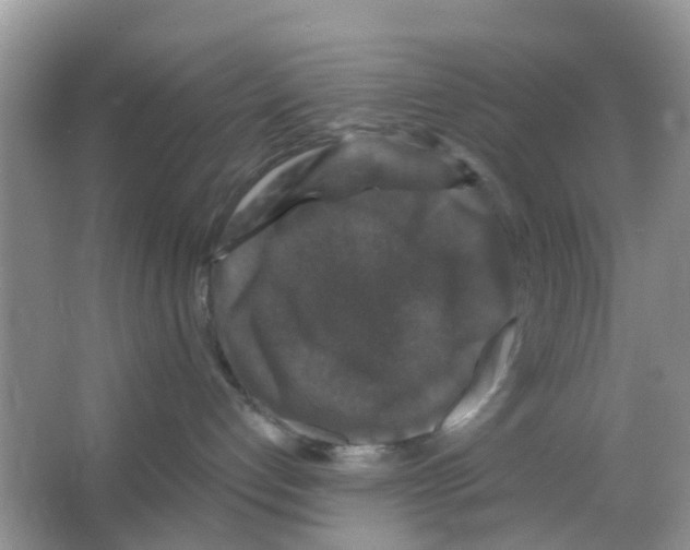 X0000066010192200603312033