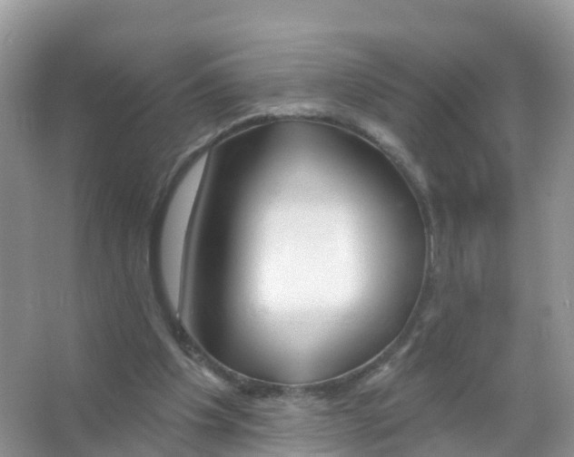 X0000066010201200603312032