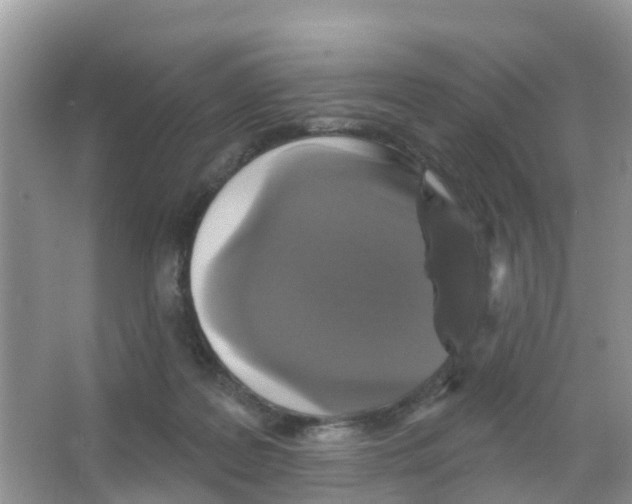 X0000066010219200603312031