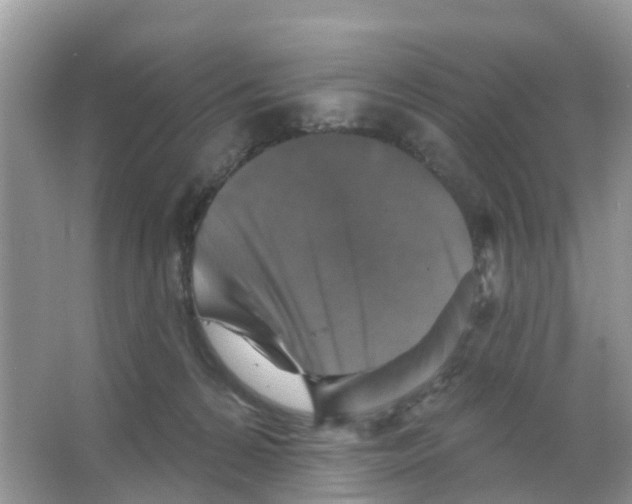 X0000066010224200603312031