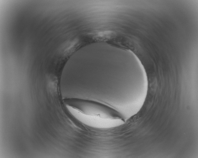 X0000066010231200603312031