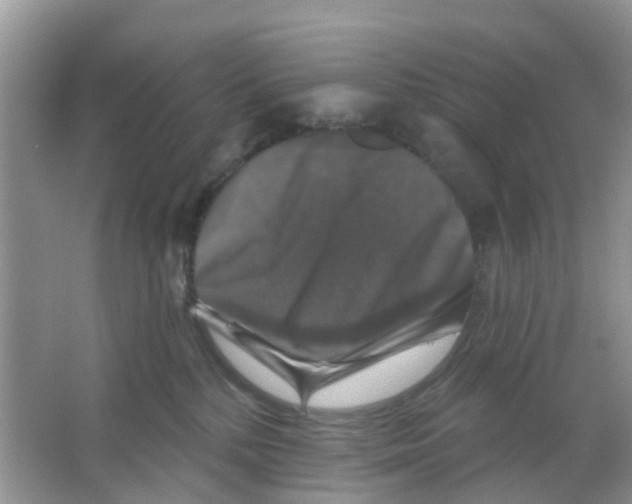 X0000066010232200603312031