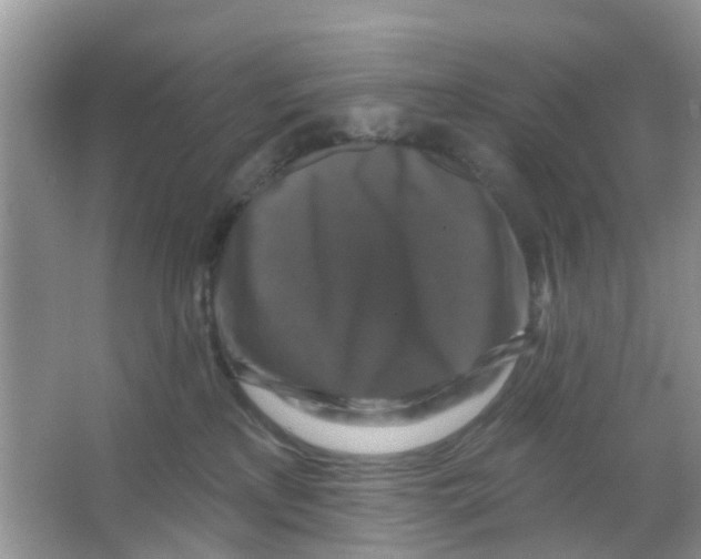 X0000066010233200603312031