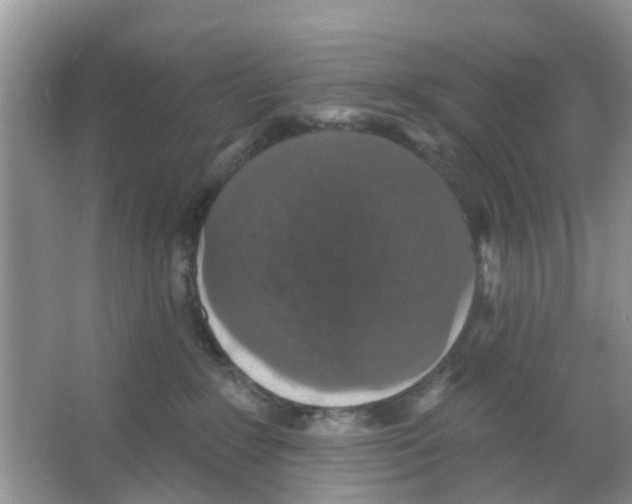 X0000066010235200603312031