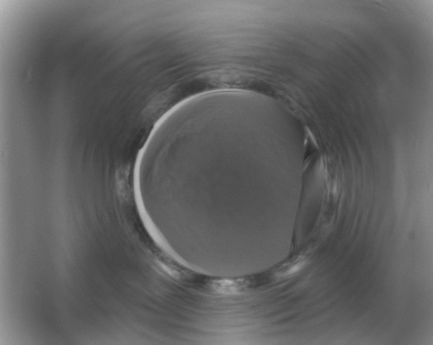 X0000066010239200603312031