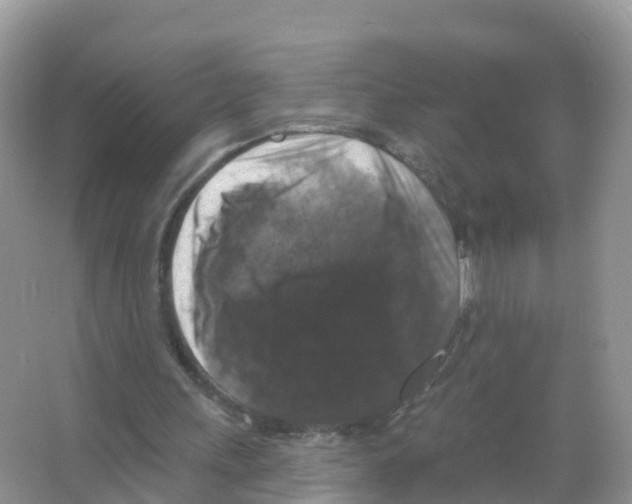 X0000066010243200603312030