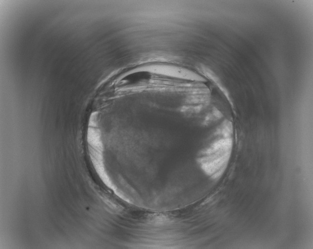 X0000066010249200603312030