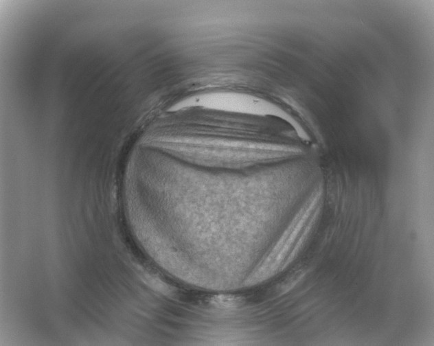 X0000066010261200603312030