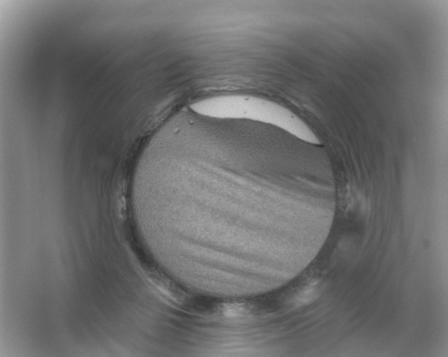 X0000066010264200603312030