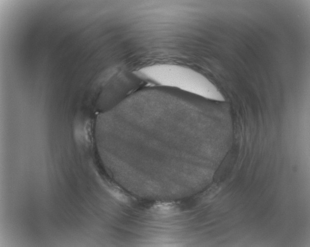 X0000066010280200603312031