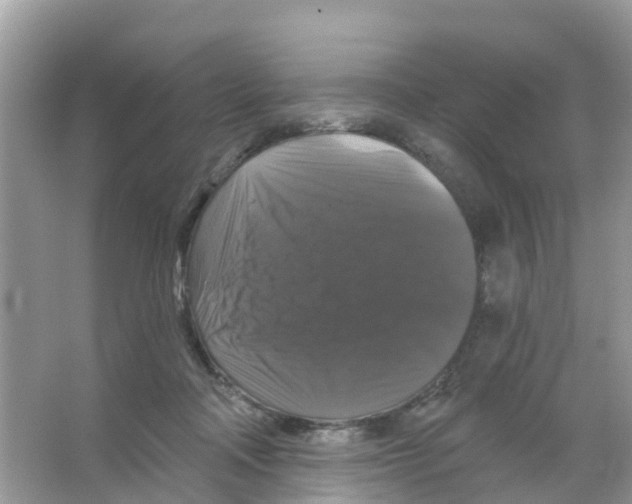 X0000066010314200603312030