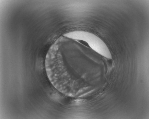 X0000066010323200603312029