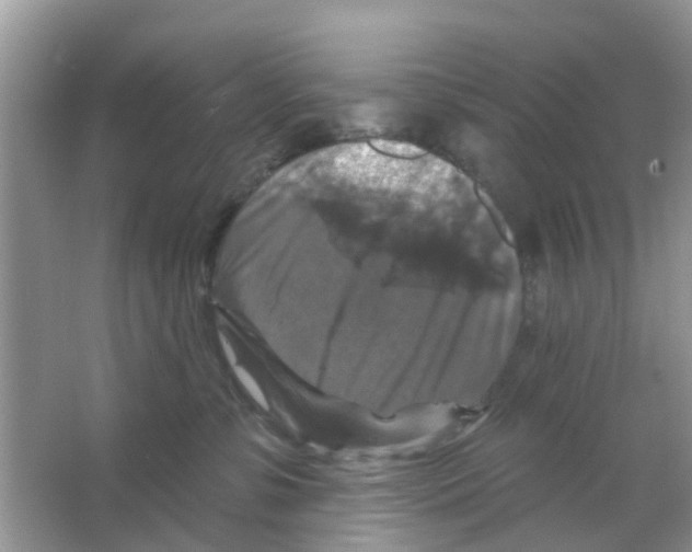 X0000066010331200603312029